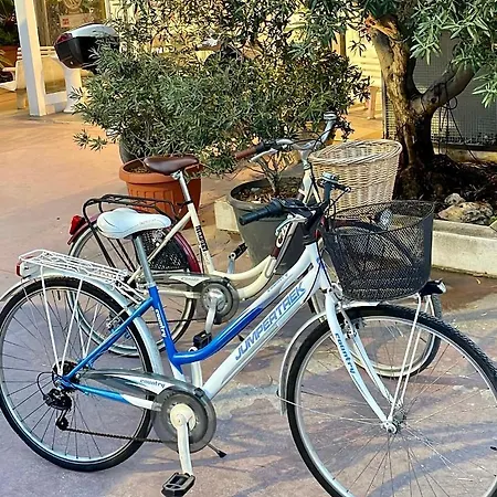 I Colori Della Puglia * Trani